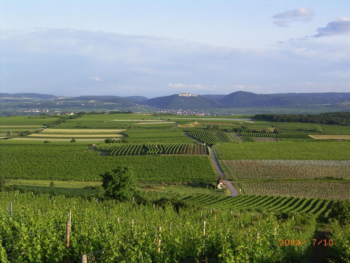 Asbacher Klosterkeller Stratzing Bagian luar foto
